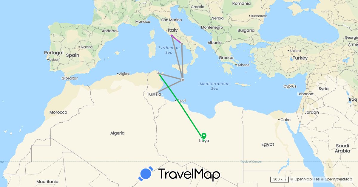 TravelMap itinerary: bus, plane, train in Italy, Libya, Malta, Tunisia (Africa, Europe)